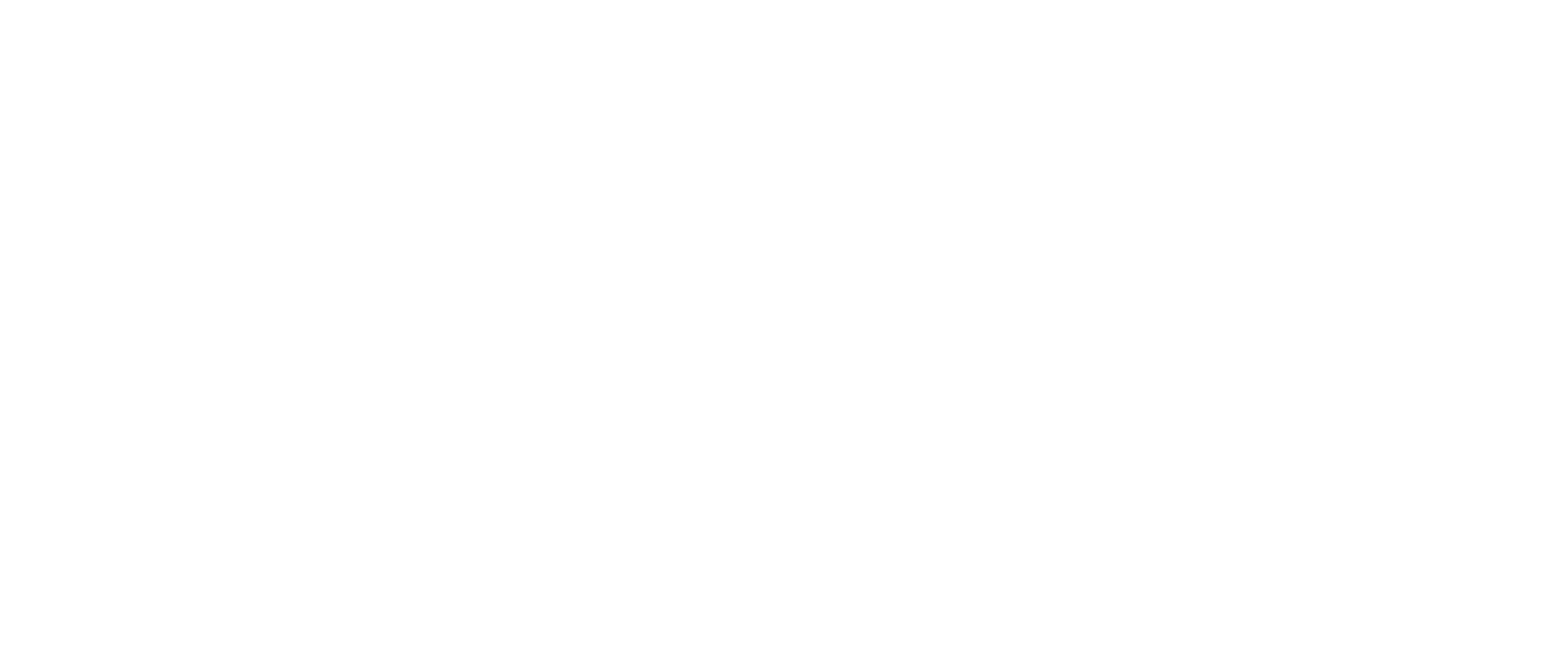 c5 logo